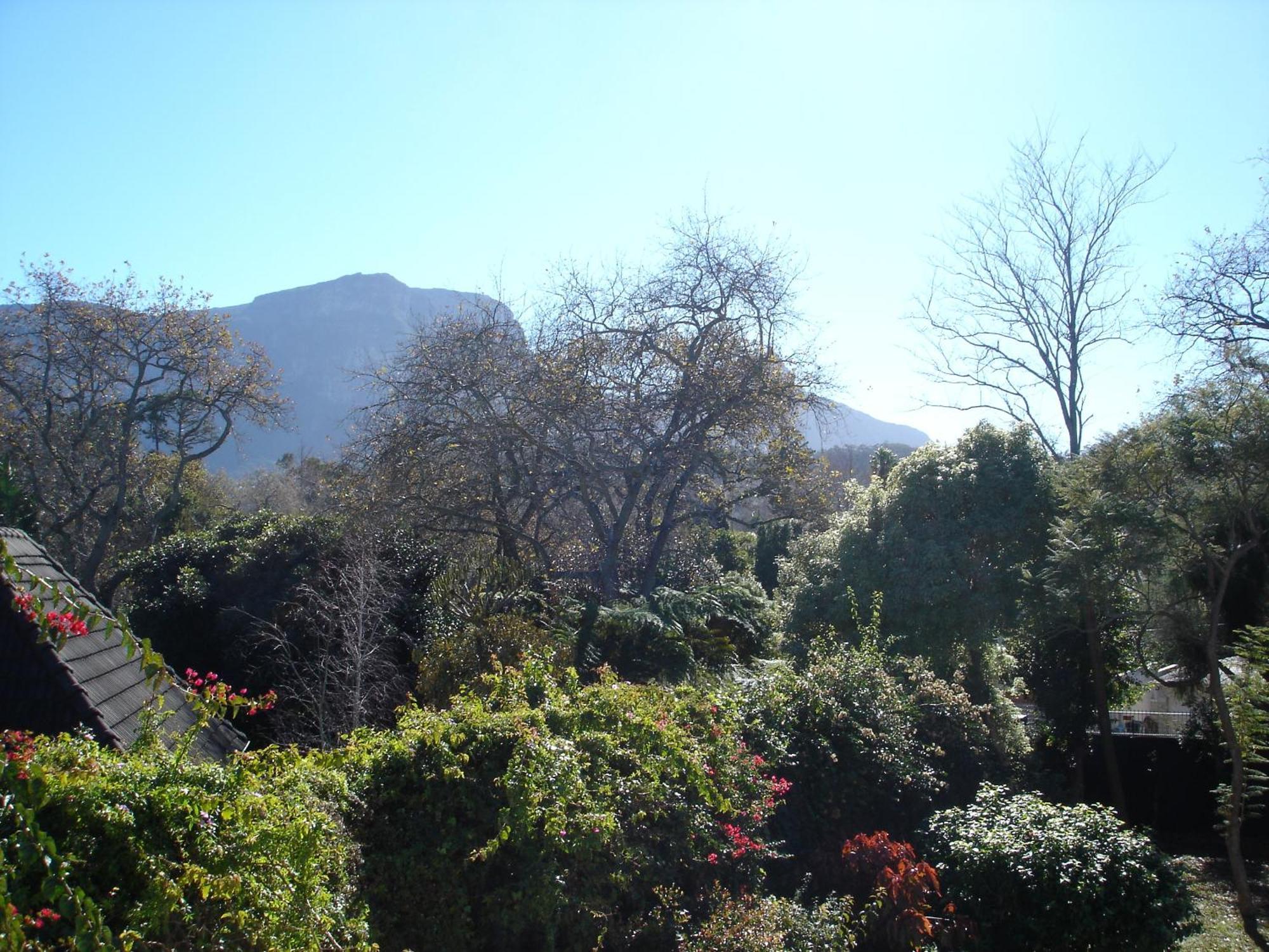 Little House Villa Cape Town Room photo